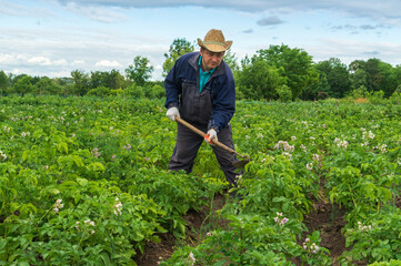 A hardworking farmer tends to a potato crop in a verdant field, using a hoe to till the soil. The landscape is vibrant, showcasing healthy plants and a serene sky, indicating a productive day