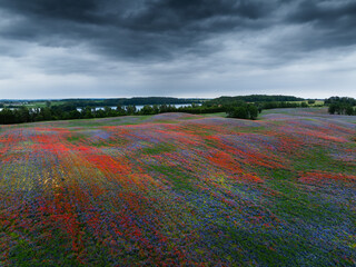 Vast Wildflower Meadow Under Dark Cloudy Sky