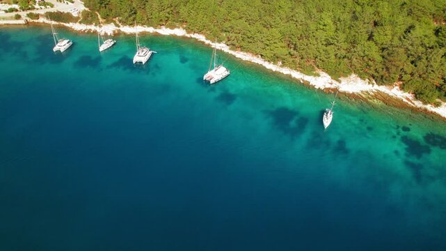 Catamarans anchored in clear shallow waters near forested coastline in Fiskardo