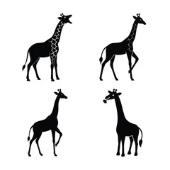 Giraffe silhouette bundle  