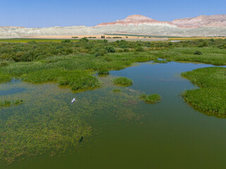 Nallihan Bird Sanctuary Ankara Turkey High-angle view of a tranquil wetland ecosystem with surrounding hills. An aerial shot showcases a serene wetland area, with calm water and lush green vegetation