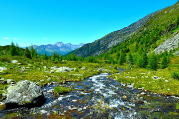 Stream in Dösen alpine valley flowing past green pasture with larch trees behind in High Tauern, Carinthia, Austria