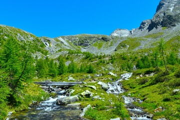 Alpine stream with a wooden bridge across flowing past meadow and larch trees in Dösen valley in High Tauern, Carinthia, Austria