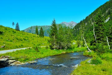 Alpine creek flowing past a meadow with trees in High Tauern mountains in Carithia, Austria