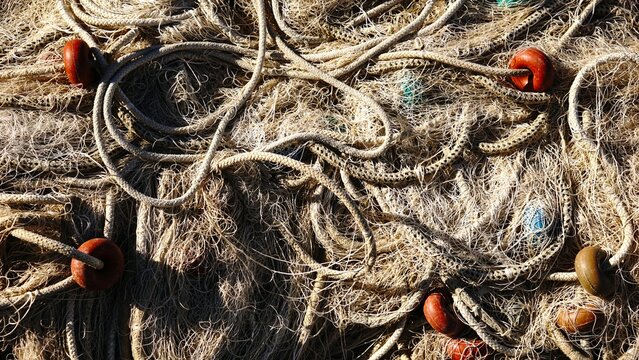 fishing net with ropes and buoys
