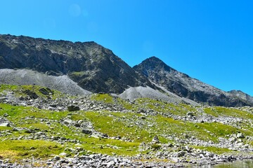 Alpine landscape with rocks and meadow and mountain peaks above in Dösental, High Tauern, Carinthia, Austria