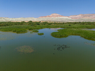 Panoramic view of a tranquil lake with surrounding vegetation and mountains.A serene, expansive view of a lake, likely a wetland or marsh, showcasing the tranquil water surface and surrounding vegetat