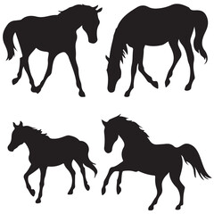 World Horse day vector set-12
