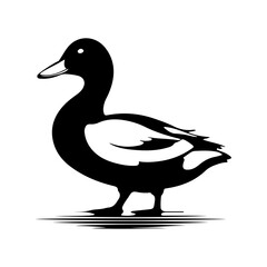 Stylized black and white duck illustration, bird standing, waterfowl, simple design