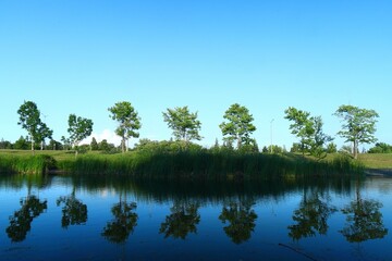 Fototapeta premium reflections of trees in water in a pond