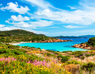 Fototapeta premium Bahía en el mar azul, vegetación de colores y cielo azul.