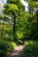 Blarney Castle, Cork, Ireland, May 19, 2024: Blarney Stone is located at the top of the Blarney Castle, which is located in the surroundings of Cork, the second largest city in Ireland.