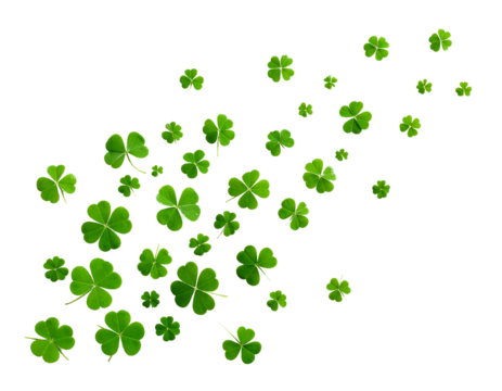 Flying four leaf clover isolated on white background 