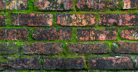 Grungy Red Brick Wall with Green Moss: High-Res Texture Photo