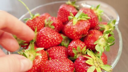 Sweet and fresh summer fruit - tasty strawberry