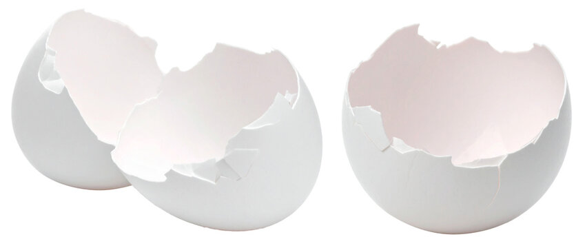 broken white egg shell isolated on white background