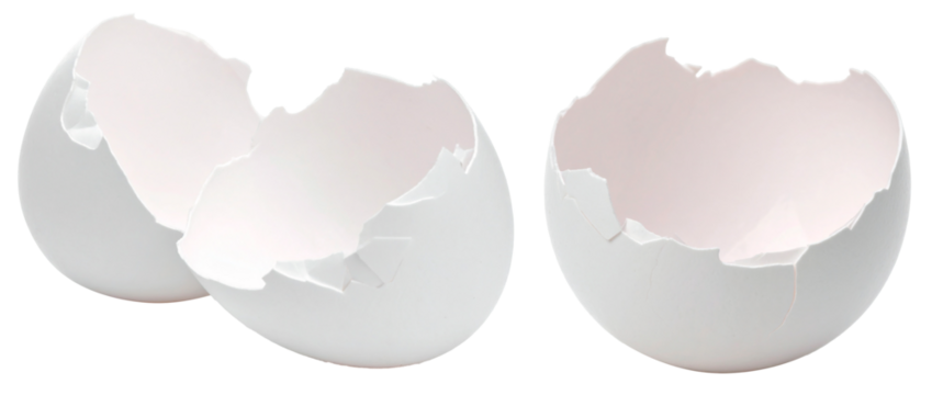 broken white egg shell isolated on white background
