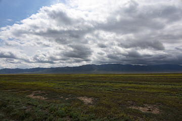 Wide open steppe landscape with mountains and dramatic cloudy sky