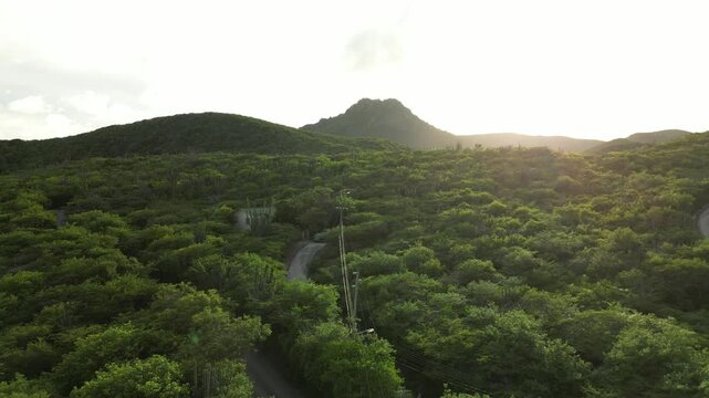 Gentle tilt-down from sky to summit and down to winding trail through tropical greenery.
Best for: Travel inspiration videos, hiking guides, nature lover&rsquo;s content.