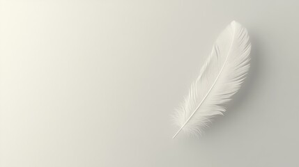 Obraz premium Single white feather on plain background