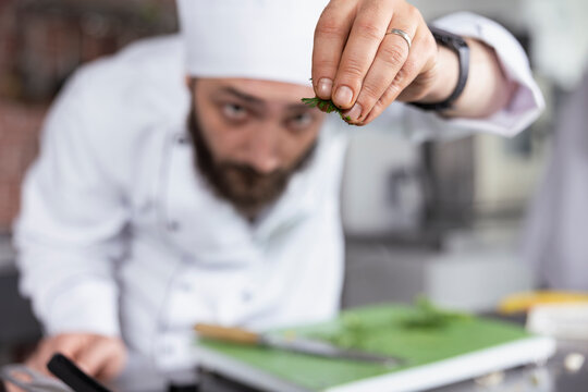 Dedicated head chef adds a sprinkle of rosemary to a gourmet meal on the stove, using fresh produce and herbs to enhance the dish flavors. Culinary arts and gastronomy food industry.