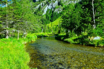 View of alpine creek in Dösental in High Tauern mountains, in Carinthia, Austria