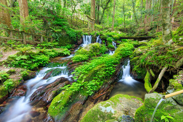 初夏の瓜割の滝　福井県三方上中郡　Uriwari Falls in early summer. Fukui Pref,...