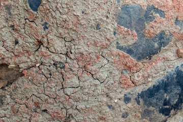 Real Photographed: Tire Covered in Thick Mud - Off-Road Texture