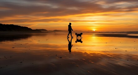 Walking Dog on Beach at Sunset with Reflection