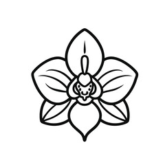 orchid-outline-vector-icon-whith-white-background.eps