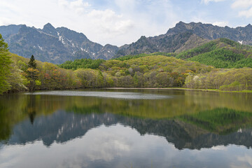 池に写る春の山