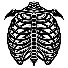 Detailed illustration of a human ribcage highlighting anatomical structure and design for educational purposes Generative AI
