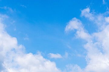 Fototapeta premium 初夏の空 青空と雲13