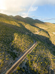 Saguaro Cacti and Lush Landscape Over Mount Lemmon in Tucson