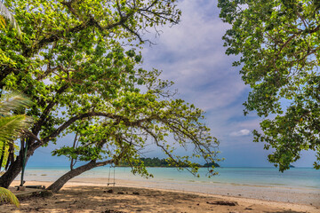 Trees on Kai Bae Beach under a gloomy dramatic sky