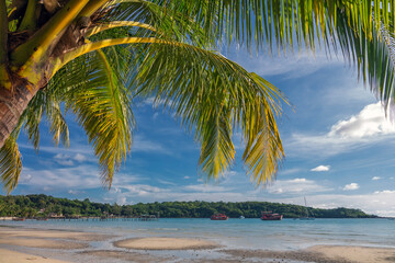 Beautiful landscape with palm trees and low tide sea at Bang Bao Bay, Koh Kood island