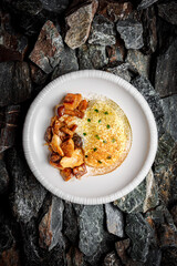 Mollusk with Porcini Mushrooms on stones