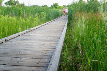 nature trail - wooden boardwalk path through wetlands in a fall scenery with distant walkers or hikers - a journey metaphor