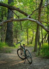 invitation to biking - a hybrid bike with kickstand, frame bag and cycling computer on a forest trail summer scenery