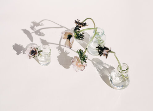 white flowers in a glass