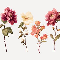 Colorful floral vector set featuring blooming flowers in PSD and PNG formats for design projects
