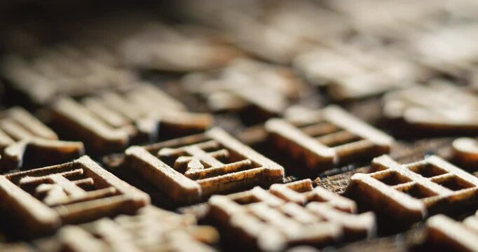 Young China Speaks of Movable Type Printing