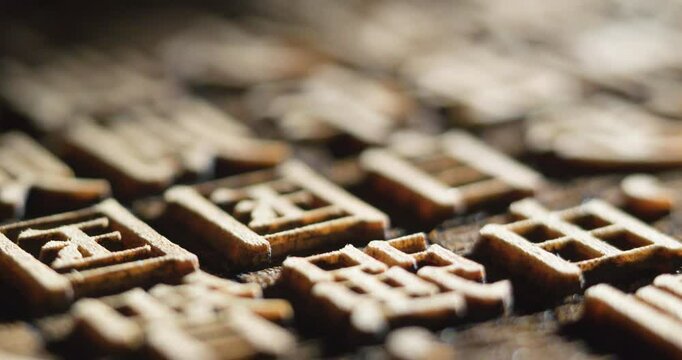 Young China Speaks of Movable Type Printing