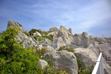 白崎海洋公園の遊歩道と夏空