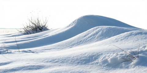 Rippled snowdrifts with sparse dry grass and abstract black and pink border isolated on a transparent background