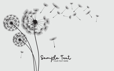 Wild flower dandelion in a vector style isolated. Vector flower for background, dandelion flying wall decal children's room 