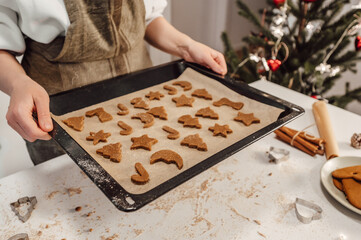 Womans hands holding baking tray full of gingerbread cookies for chistmas