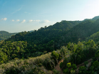 High angle view mountains rainforest green background