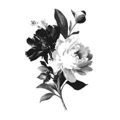 Black and white floral vector illustration isolated on white background