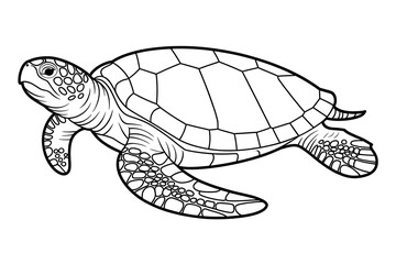 Sea turtle, outlined in black ink.
